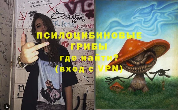 тгк Дмитров